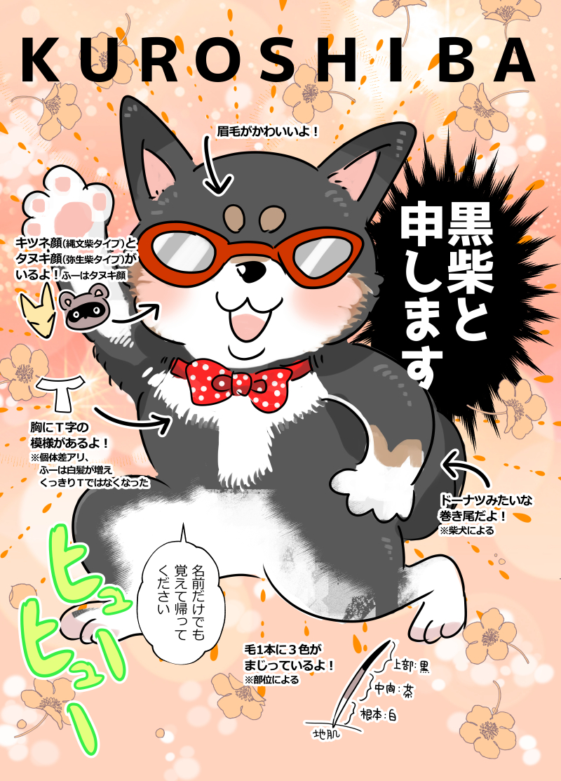 4æç®ã¯ãã€ãã®æŽã¯ã©ã(åäŒ)ã ããã§ãããã³ã¡ããã調ã¹ãŠãããŸãããäžéšã«ã¡ãããšé»æŽãðãã¡ã¡ãããããåãåã£ãŠãã®ããããã§ããð