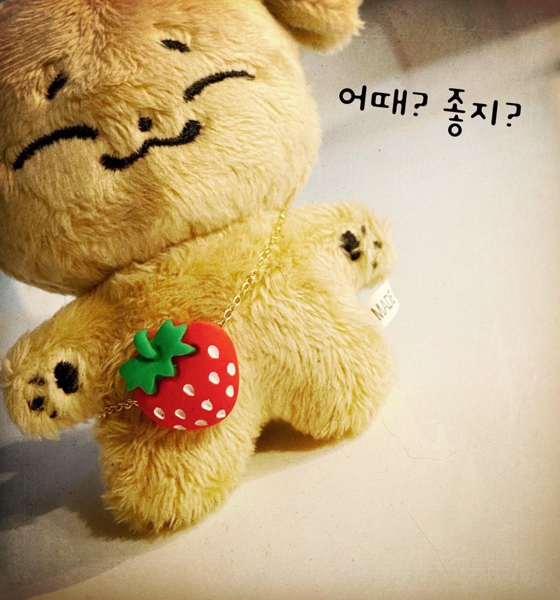 新しく手に入れたいちごポシェットを妙な圧で見せつけてくる子