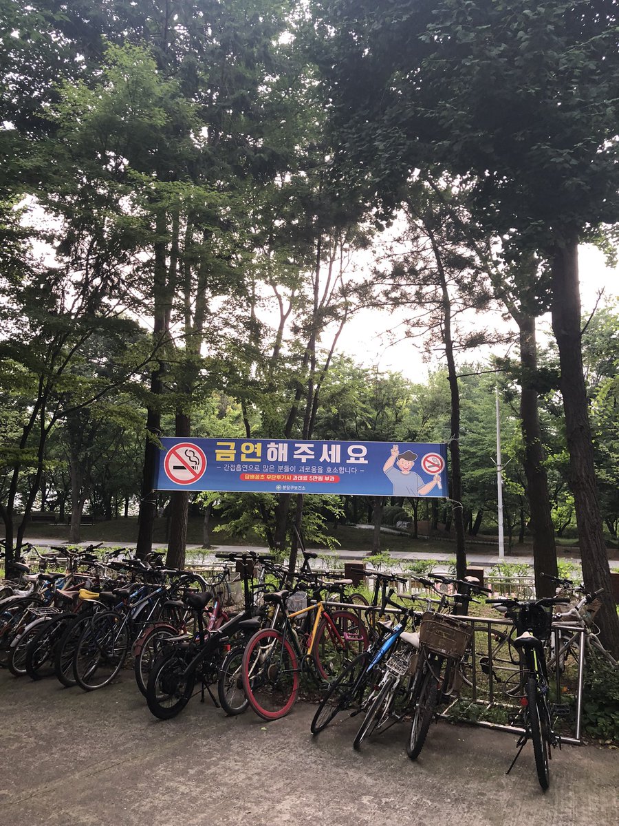 페퍼아빠 tweet media