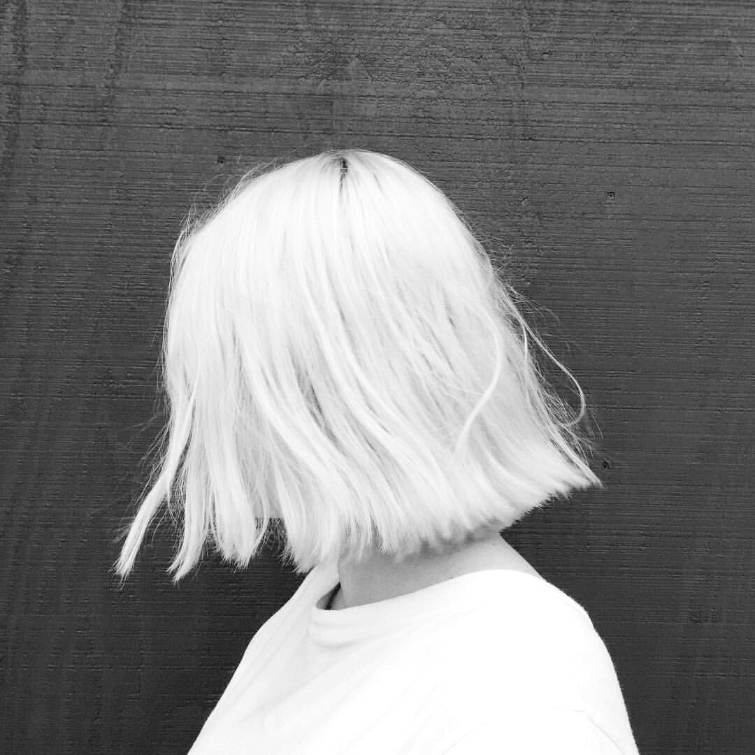 archillect's tweet image. 