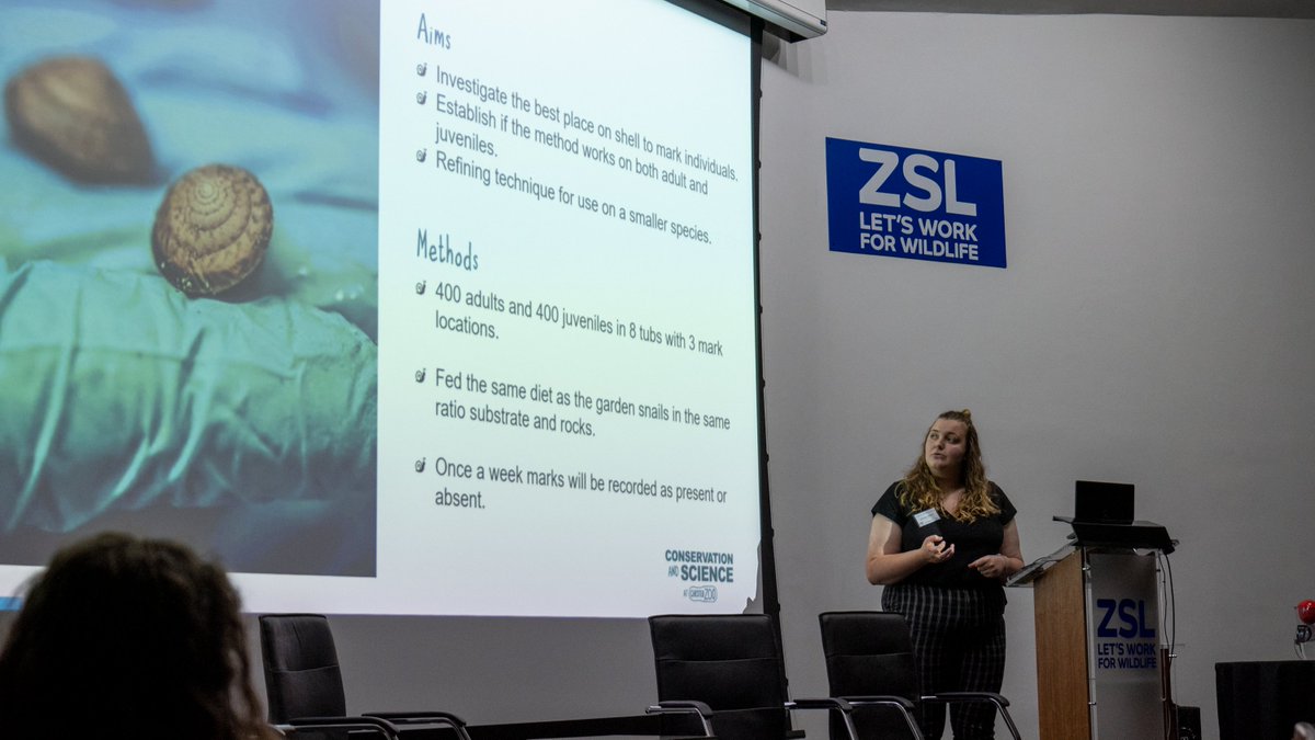ScienceatCZ's tweet photo. Morning from the #biazaresearch conference here at @zsllondonzoo!
Two of our students have kicked off the day in style, sharing their research on zoo interpretation evaluation and snail post-release monitoring 📊🐌

There's lots of us here from @chesterzoo, say hi if you spot us! https://t.co/Da2UKZAORB