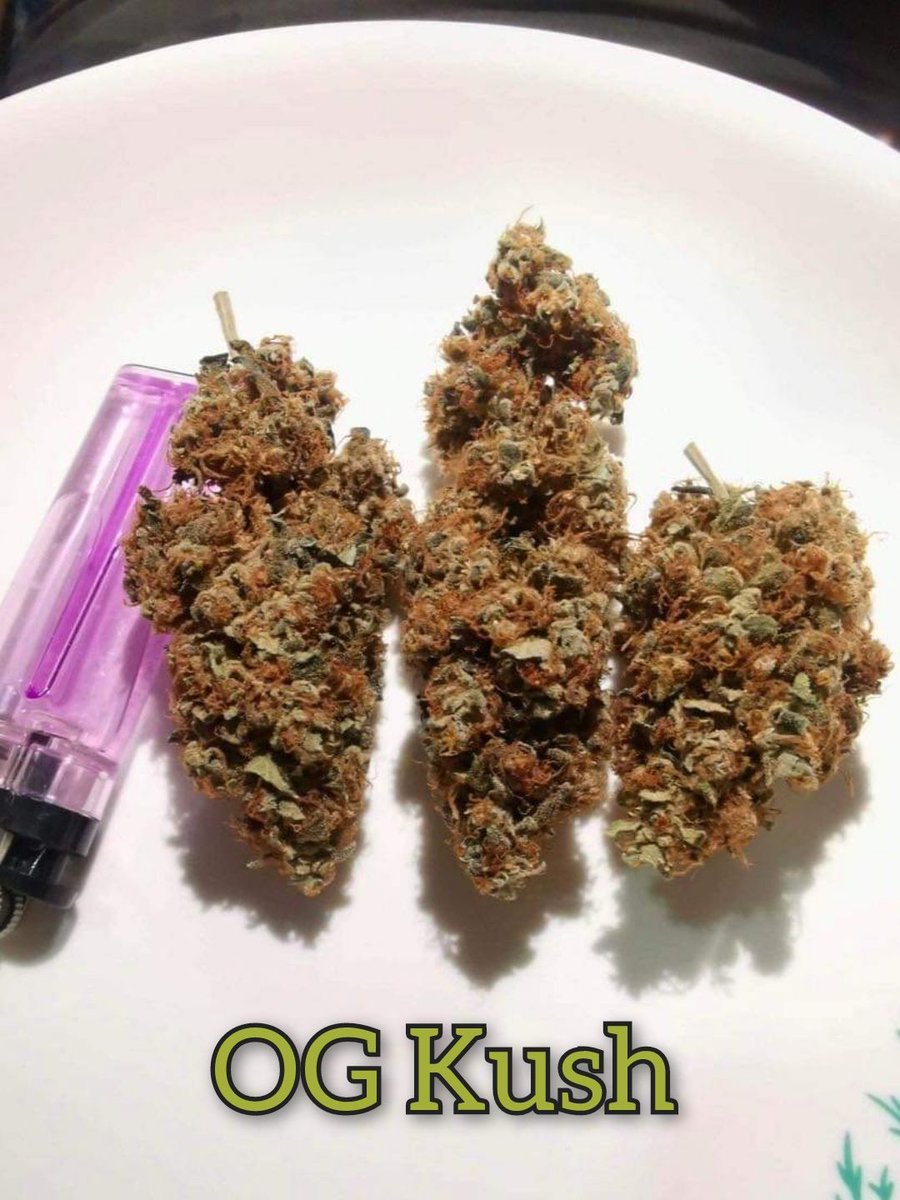 Getkit1's tweet image. Charlotte OG
การันตีเมาชัวร์​👌
เหมาะใช้กลางคืน​ THC 17%
==============
Promotion👍
1G.​   = 190
10G.​ = 1,800
==============
ชมสินค้าอื่นได้ที่​ shop.line.me/@597mponl
ติดต่อ​ Line : @597mponl

#กัญชา #ขายกัญชา #กัญชาเชียงใหม่ #กัญชาออแกนิค #กัญชากรุงเทพ #กัญชาโอจี​ #กัญชาog
