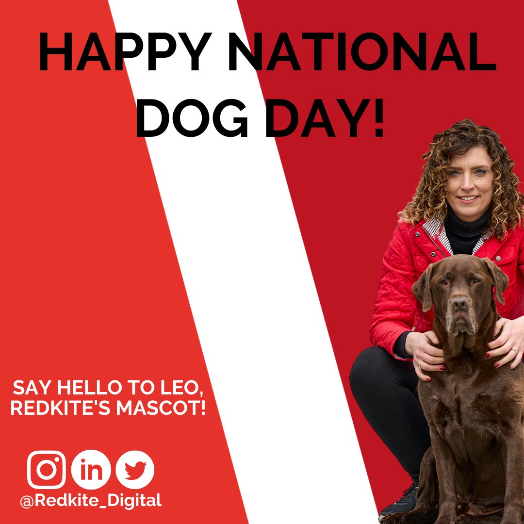 Redkite Digital tweet media