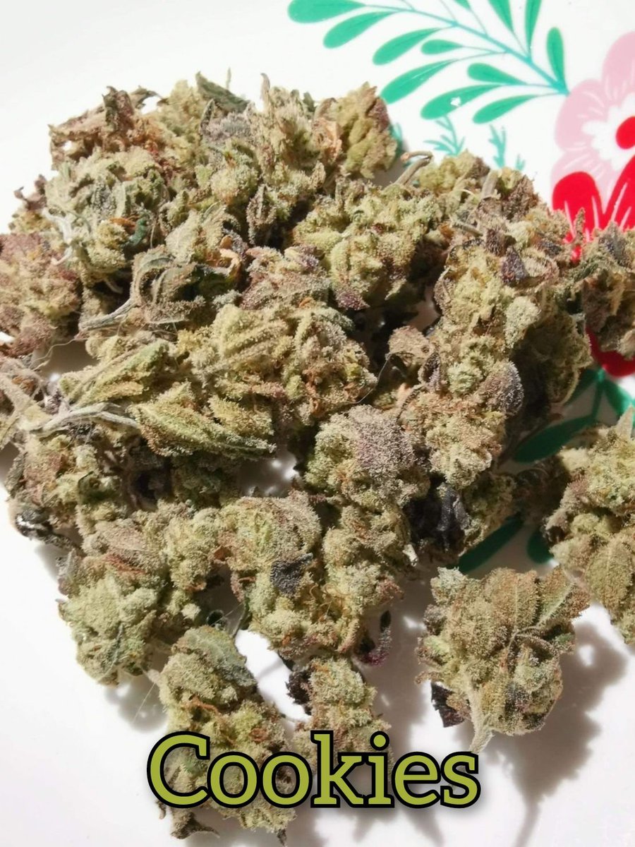 Getkit1's tweet image. Charlotte OG
การันตีเมาชัวร์​👌
เหมาะใช้กลางคืน​ THC 17%
==============
Promotion👍
1G.​   = 190
10G.​ = 1,800
==============
ชมสินค้าอื่นได้ที่​ shop.line.me/@597mponl
ติดต่อ​ Line : @597mponl

#กัญชา #ขายกัญชา #กัญชาเชียงใหม่ #กัญชาออแกนิค #กัญชากรุงเทพ #กัญชาโอจี​ #กัญชาog