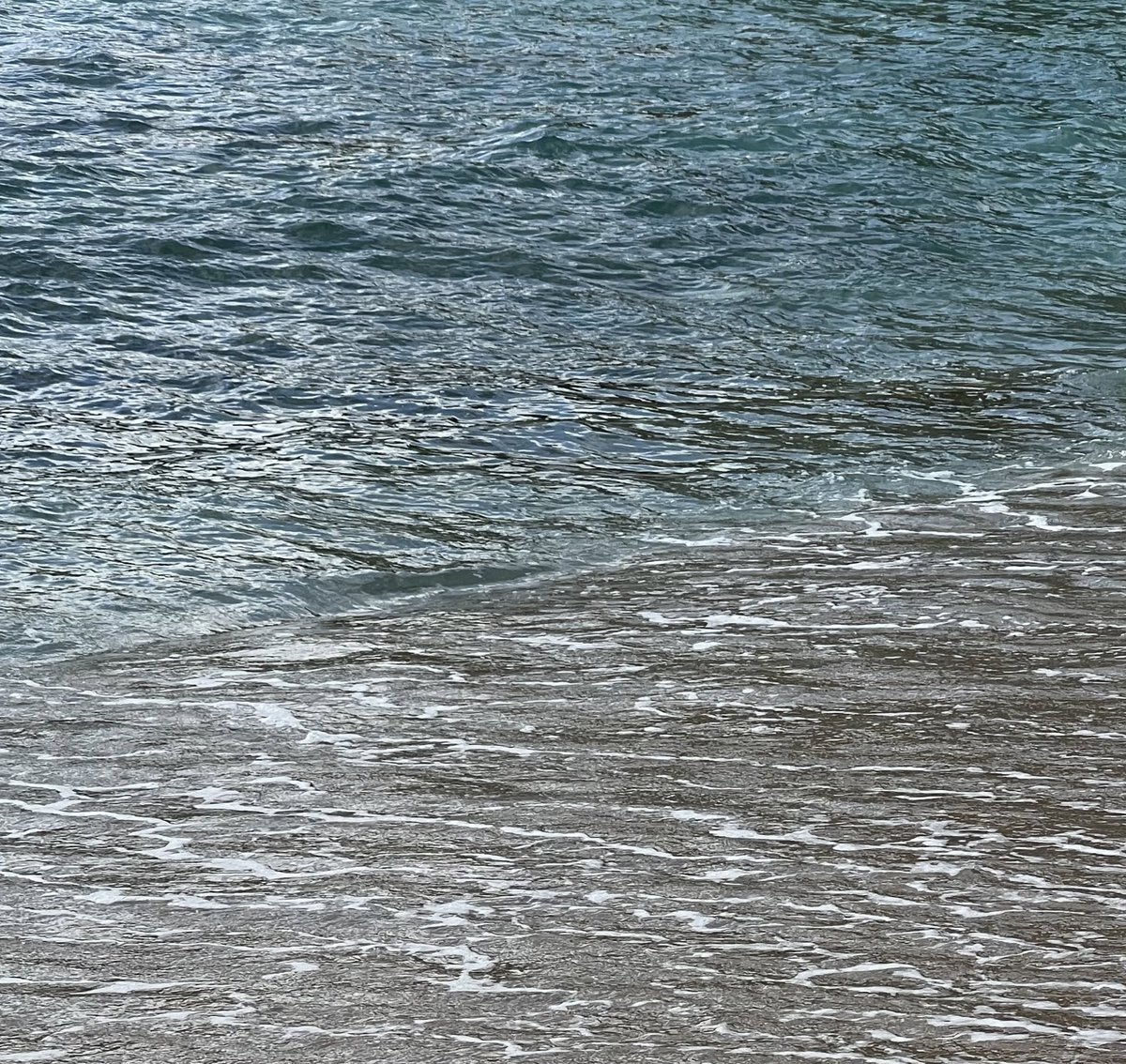 𝗌𝗎𝗇𝗄𝗂𝗌𝗌𝖾𝖽 tweet media