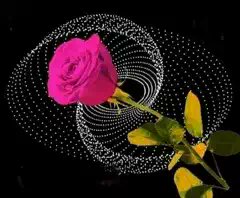 شعاعا من الماضى tweet media