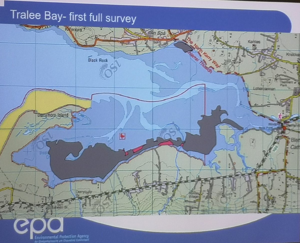@Wilkesrobert @EPAIreland presenting on monitoring & reporting of #seagrass Tralee has 2nd largest intertidal bed in the island of Ireland @DeptHousingIRL @swanireland @IrishEnvNet @KerryCounty