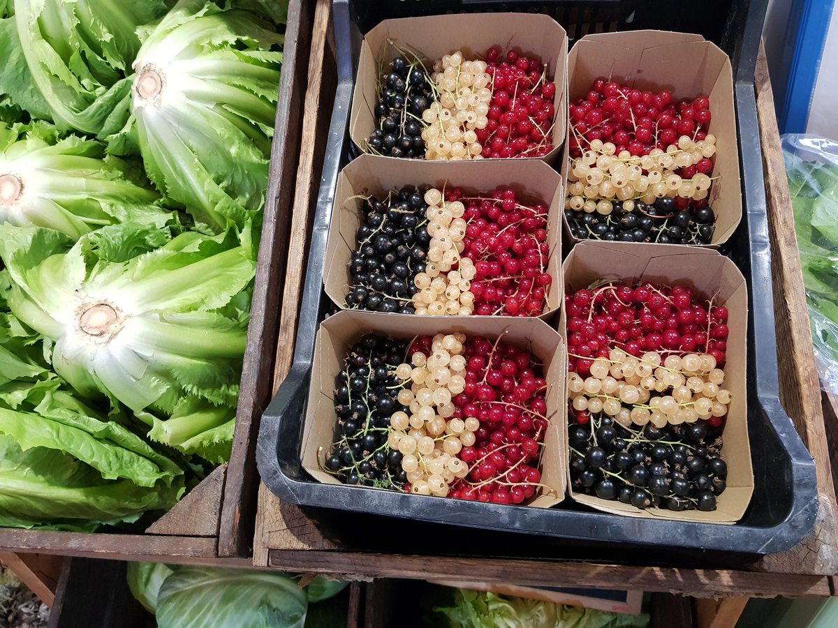 Pruimen, perziken en bessen
Het zachtfruit is weer ruim voorradig in onze historische tuin, en daarmee ook in onze museumwinkel. Dagelijks kan je daar terecht voor de deze delicatessen (zolang de voorraad strekt).