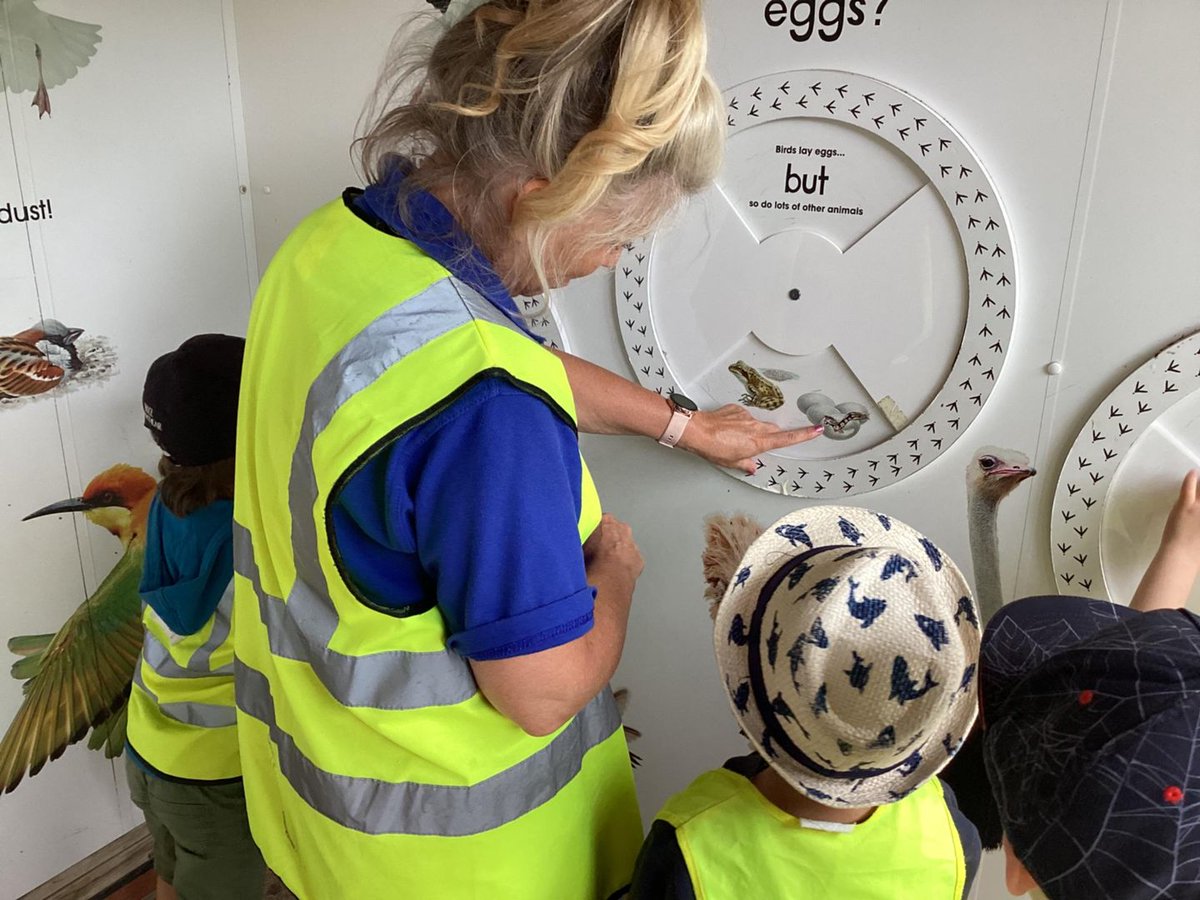 Bright Horizons Fair oak tweet media