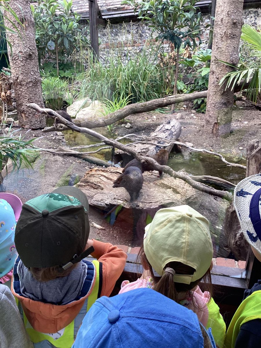 Bright Horizons Fair oak tweet media