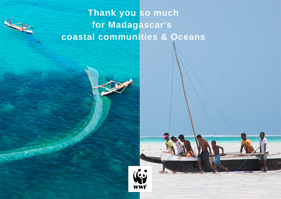 wwf_mada's tweet image. Welcome to the “Elevating #EcosystembasedAdaptation approaches to sustain life and critical ecosystems in the Tsimanampesotse-Nosy Ve Androka #BiosphereReserve seascape (RBS) and scaling up in the #SWIO Region” initiative !! 

@BlueActionFund @WWFLeadOceans @WWF @CatholicRelief