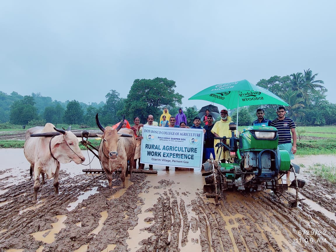 goanewshub's tweet photo. #Shabbas|| The students and teachers of Don Bosco College of Agriculture, Sulcorna (Quepem) held a Rural Agriculture Agriculture Work Experience at Ozarim village in Pernem. https://t.co/szKKdNtz76