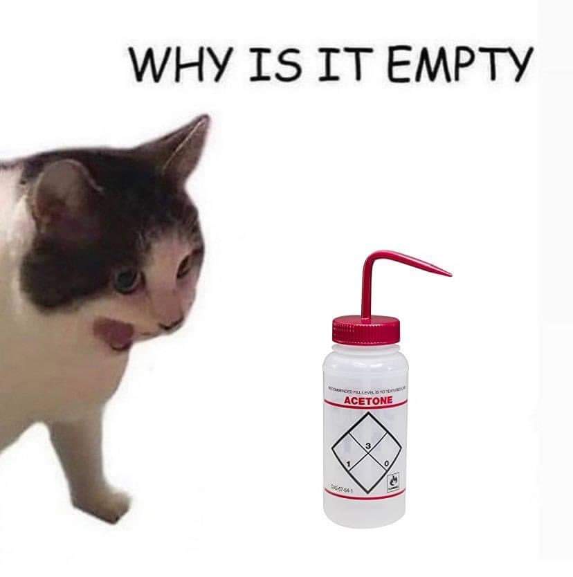 RACInational's tweet photo. Thanks for tuning into Oscar nonsense all day. Been a great day two and I hope that I get to see some more great science and meet more #ozchem at #RACI2022 . I leave you with a meme, which I think a lot of us can empathise with. https://t.co/Pjw41DNOZo