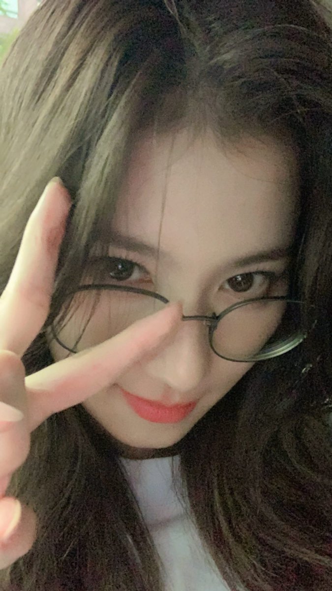 SJSNFILES's tweet photo. both came home today 🥺🫂 https://t.co/I39t5Ntz3e