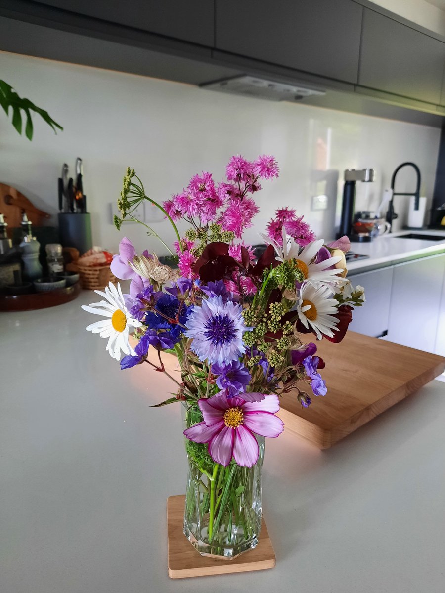 thegreen_room_'s tweet photo. The first little bunch from the garden 🌿🌸🌿🌸 https://t.co/h02CVAQeSM