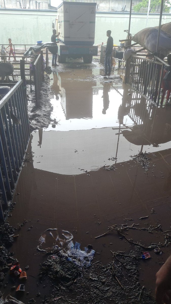 Nash96_official's tweet photo. Who is answerable? The problem isn't solved yet. The merchant are in deep trouble!!
@rais_shk @AslamShaikh_MLA @GovandiCell @CMOMaharashtra @mieknathshinde @ShivsenaComms @CPMumbaiPolice @ndtv @ZeeNews https://t.co/q9KTcINIYV