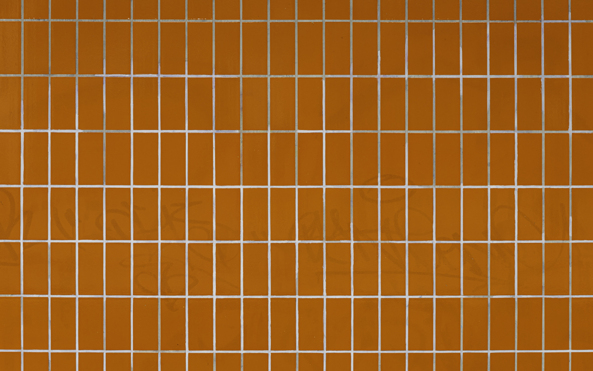 U6 — Wedding.
Lose yourself in the orange.