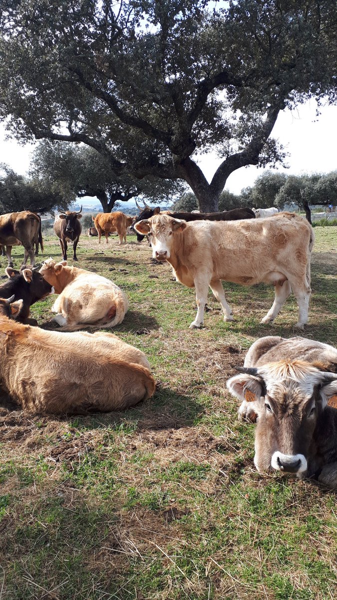 <a href="/ierrejon/">Íñigo Errejón</a> Eres un experto en vivir del erario público, nunca has trabajado en una empresa, siempre cobrando de los impuestos que pagamos los ciudadanos. 
Al menos deberías tener algo de dignidad y elaborar un poco los argumentos. ¿Ó es que van dirigidos  a gilipollas? DEMAGOGIA BARATA.