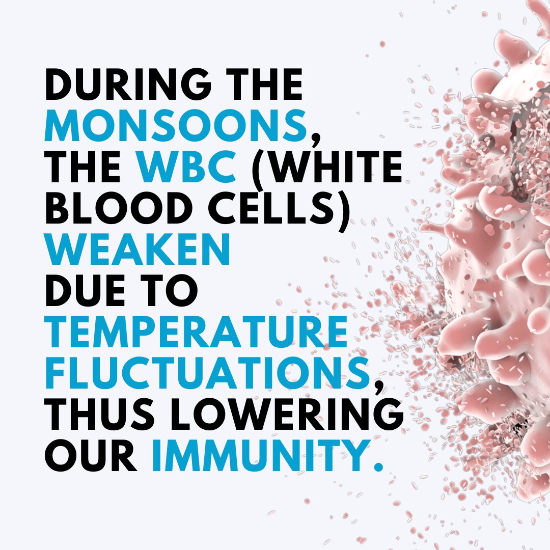 ProfreaOfficial's tweet photo. Why do people often fall ill during #monsoons?
The WBC (White blood cells) weaken due to temperature fluctuations, thus lowering our immunity.
.
#health #fitness #BazBall #gurugram #support #success #MBBS #life #doctors #medicos #wearegurgaon #Profrea #tuesdayvibe #INDvsEND #RT https://t.co/c9SRdd8TKw