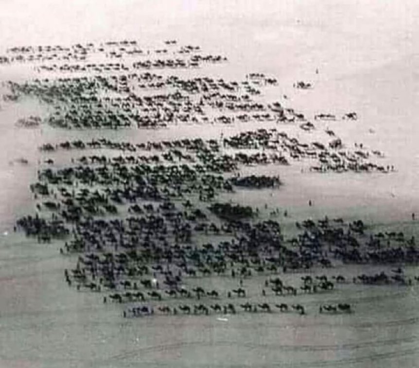 صورة نادرة التقطها مصور فرنسى من الجو لقافلة حُجاج ، وهم بالقرب من قرية الجحفة بالحجاز متوجهين الى مكة المكرمة ..
التُقطت الصورة عام ١٣٥٢هـ - ١٩٣٤م ..قبل ٩٠ سنة تقريباً ..