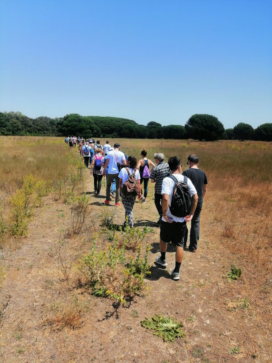 WWFitalia's tweet photo. Oggi team #WWF all'oasi di #Macchiagrande #Fiumicino 
Le Oasi un segno tangibile del nostro impegno per la #natura d'Italia
#5luglio Buon compleanno #WWF Italia https://t.co/waVhiZ6rOQ