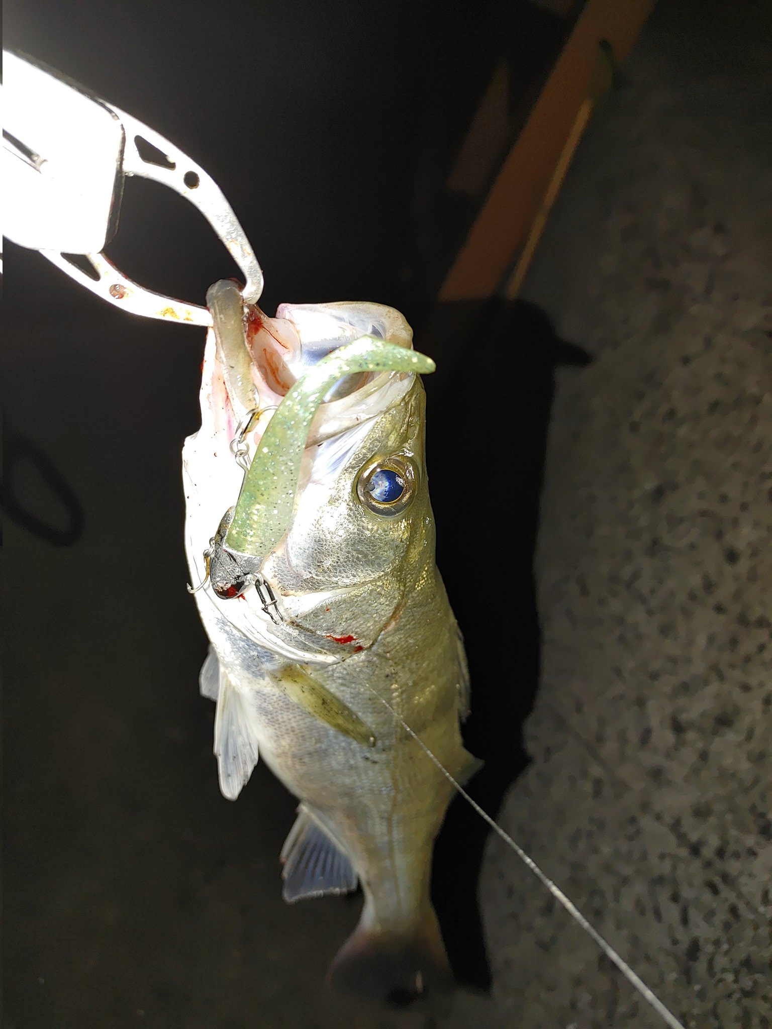 Ryu Sea Bass Angler Coremanの代表 泉さんへ アルカリシャッドの換えワームが各地で欠品してるので よろしくお願いします あと ジャッドワームの55mmと60mmに合わせるヘッドが分かりません W Oஇ コアマンの夏 T Co 301i1e6mkd Ryu Sea Bass Angler Coremanの代表 泉さんへ アルカリシャッドの換えワームが各地で欠品してるので よろしくお願いします あと ジャッドワームの55mmと60mmに合わせるヘッドが分かりません W Oஇ コアマンの夏 T Co 301i1e6mkd
