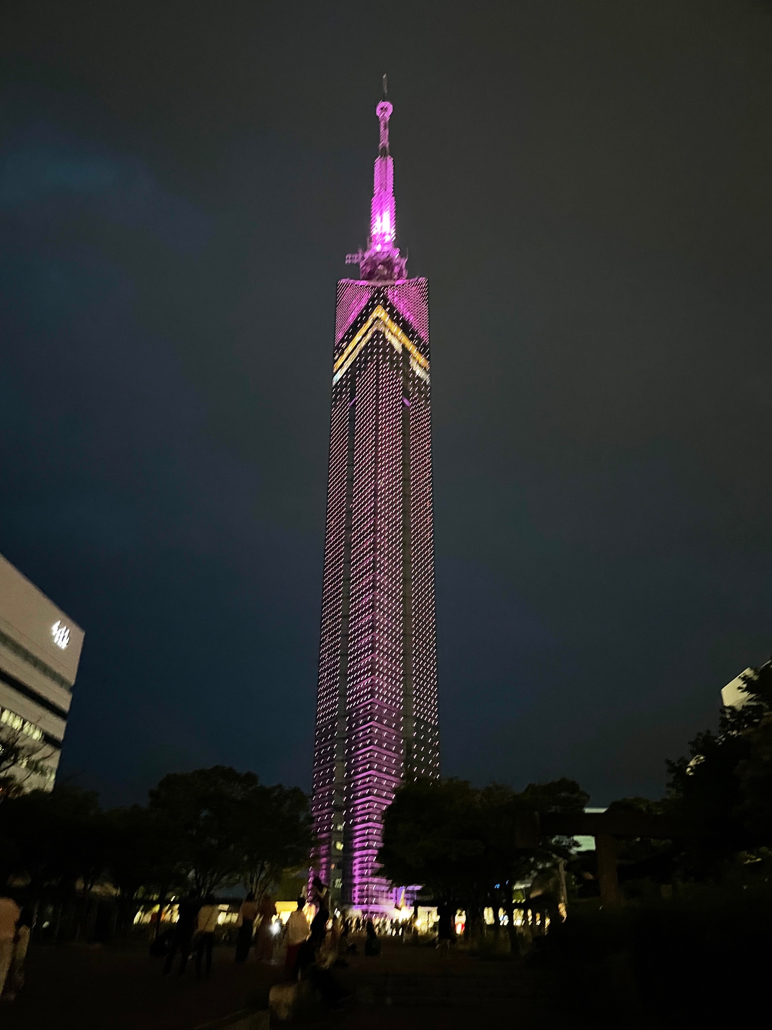 sakishimatokyo 「選べるサイズ」ハーフジップニット レディース