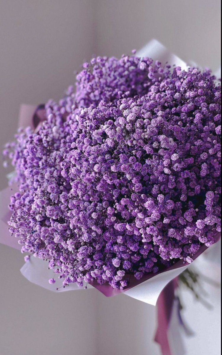 بنفسج (@lilacearth) on Twitter photo 