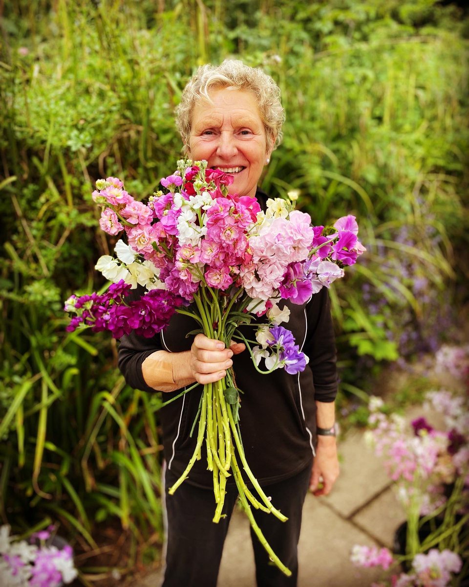 ClemsGardenHQ's tweet photo. Our surplus blooms don’t go to waste - stocks and corncockles going to the loving homes of our team members who give so much to @clemsgarden and their local #community. #Volunteers #UnsungHeroes #ThankYou #YorkshireHeart #ClemsGarden #GrowingKindness #Lindley #Huddersfield https://t.co/BEuqrxBia8