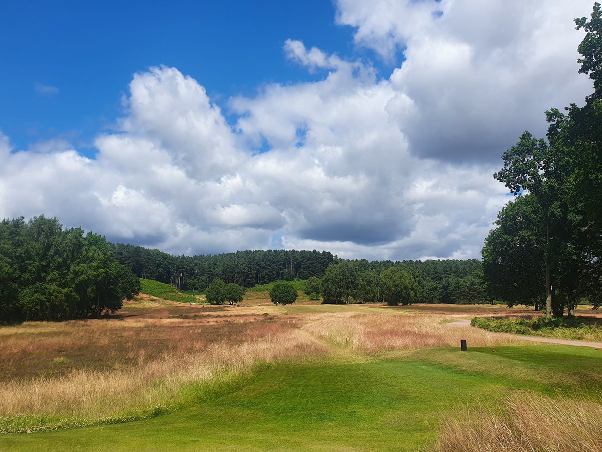 Midlands Golfer tweet media