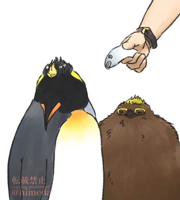 「penguin」 illustration images(Popular｜RT&Fav:50)｜4pages