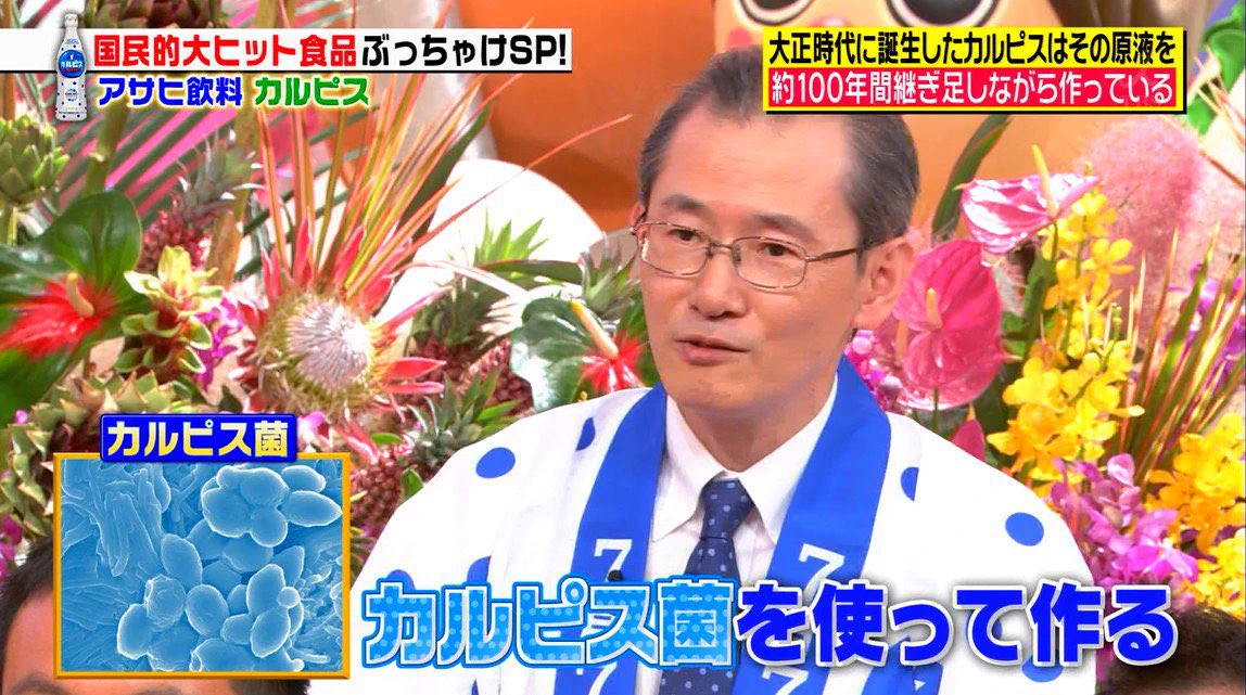 カルピスを生み出すためのカルピス菌はとても脆く儚いものだった‼