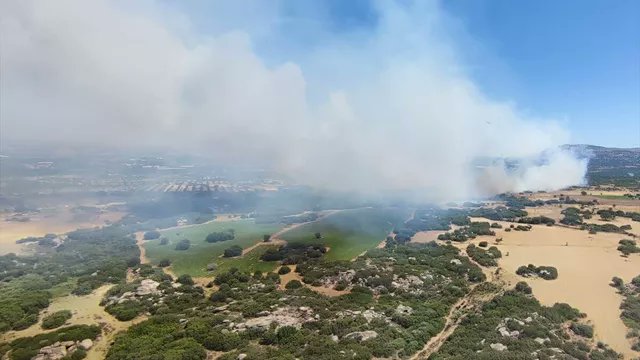 Çanakkale'nin Ezine ilçesinde ormanlık alanda #yangın çıktı. Ekipler şiddetli rüzgarın etkili olduğu bölgede alevleri kontrol altına almaya çalışıyor. #ormanyangini #Canakkale