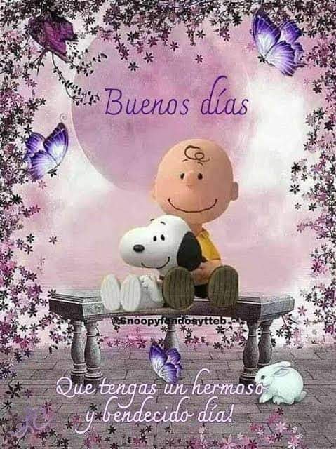 Puebla Cultural (@secretos_puebla) on Twitter photo 