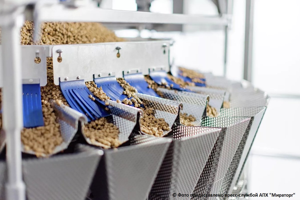 упаковщик кормов для животных. завод по производству корма для животных. линия производства кормов для собак. завод для производства рыбных кормов. изготовление кормов.