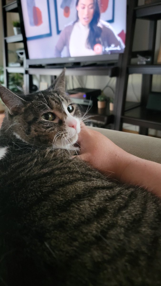 Lisa Trewin tweet media