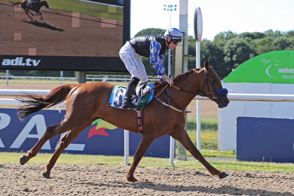 Arabian Racing Organisation tweet media