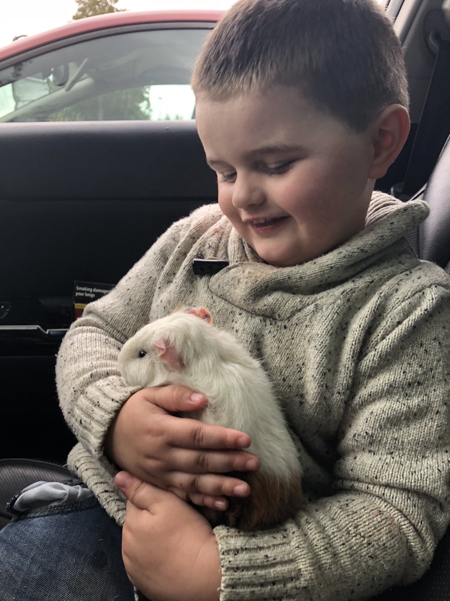 Carl_Tyrrell's tweet photo. @chriskonrath Keep the spirit up Amanda, Logan says your the best, here’s a pic to hopefully make you smile https://t.co/MCTWM7qlFI