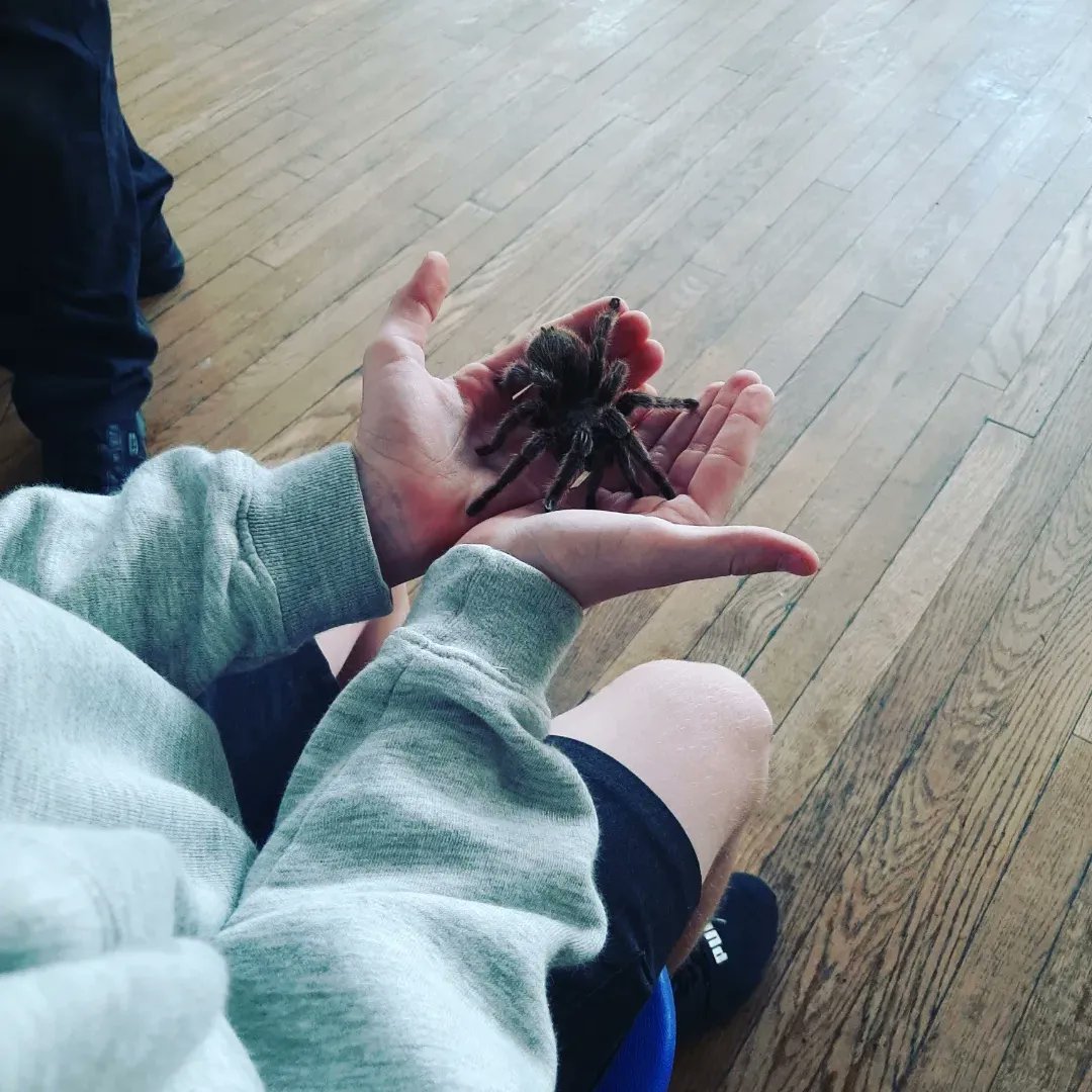 Castle_Hall's tweet image. #Y6Transition There was great excitement today as we welcomed Y6 to CHA 🤩 Students were amazing! They had a packed day of activities and lessons. They are certainly ready to join us 😊 #Science #PE #Spanish #Literacy #AcademicExcellence  #DevelopingCharacter #RaisingAspirations