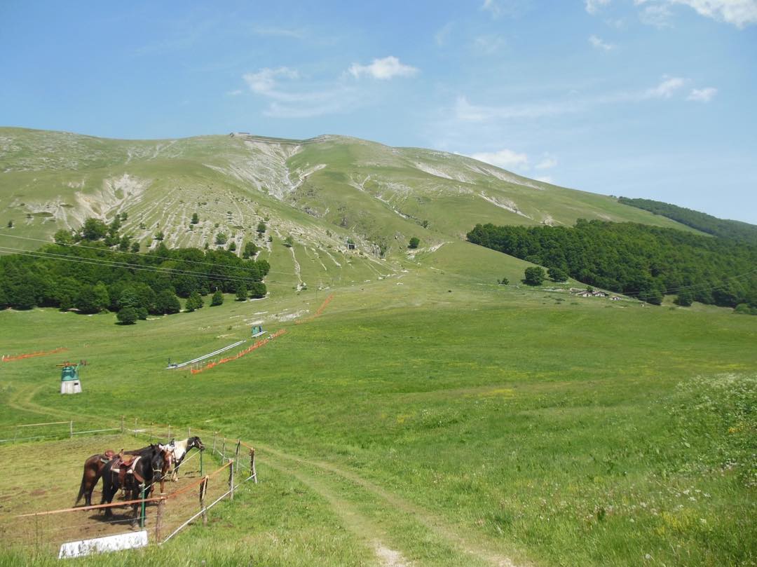 Ampie praterie abbracciate da morbide cime caratterizzano Passo Godi nel <a href="/parcoabruzzo/">Parco Abruzzo</a>. Un tempo via naturale della transumanza, tra l'alta Valle del Sagittario e l'Alto Sangro, è raggiungibile da Scanno e Villetta Barrea (Aq).
bit.ly/3tSu0m8
📸fabrizio84
#Abruzzo