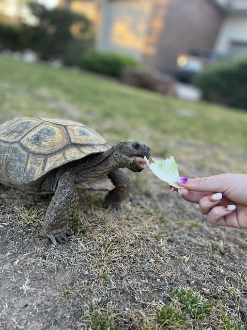 I had a lovely day with so many amazing friends yesterday 💕 Thank you for always hosting the best get<a href="/tag/realloyalfans"class="tags"><span>#realloyalfans</span></a>