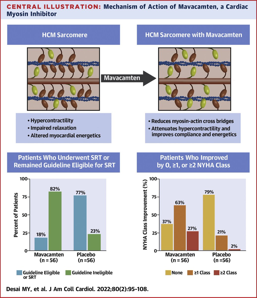 JACC Journals (@jaccjournals) on Twitter photo VALOR-HCM is out in #JACC!
In this groundbreaking work, Drs. <a href="/DesaiMilindY/">Milind Desai MD MBA</a>, Steven Nissen, and colleagues evaluate novel therapeutic #mavacamten in the treatment of obstructive #HCM. bit.ly/3nFWMmx
#cvHCM #CardioTwitter <a href="/SrihariNaiduMD/">Srihari S. Naidu, MD</a> <a href="/jeffreygeske/">Jeffrey Geske, MD</a> VALOR-HCM is out in #JACC!
In this groundbreaking work, Drs. <a href="/DesaiMilindY/">Milind Desai MD MBA</a>, Steven Nissen, and colleagues evaluate novel therapeutic #mavacamten in the treatment of obstructive #HCM. bit.ly/3nFWMmx
#cvHCM #CardioTwitter <a href="/SrihariNaiduMD/">Srihari S. Naidu, MD</a> <a href="/jeffreygeske/">Jeffrey Geske, MD</a>
