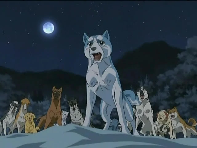 brought this up on stream last night and everyone looked at me like i was crazy but please tell me someone here has watched ginga densetsu weed cause i deadass feel like im the only person in the world that has watched this