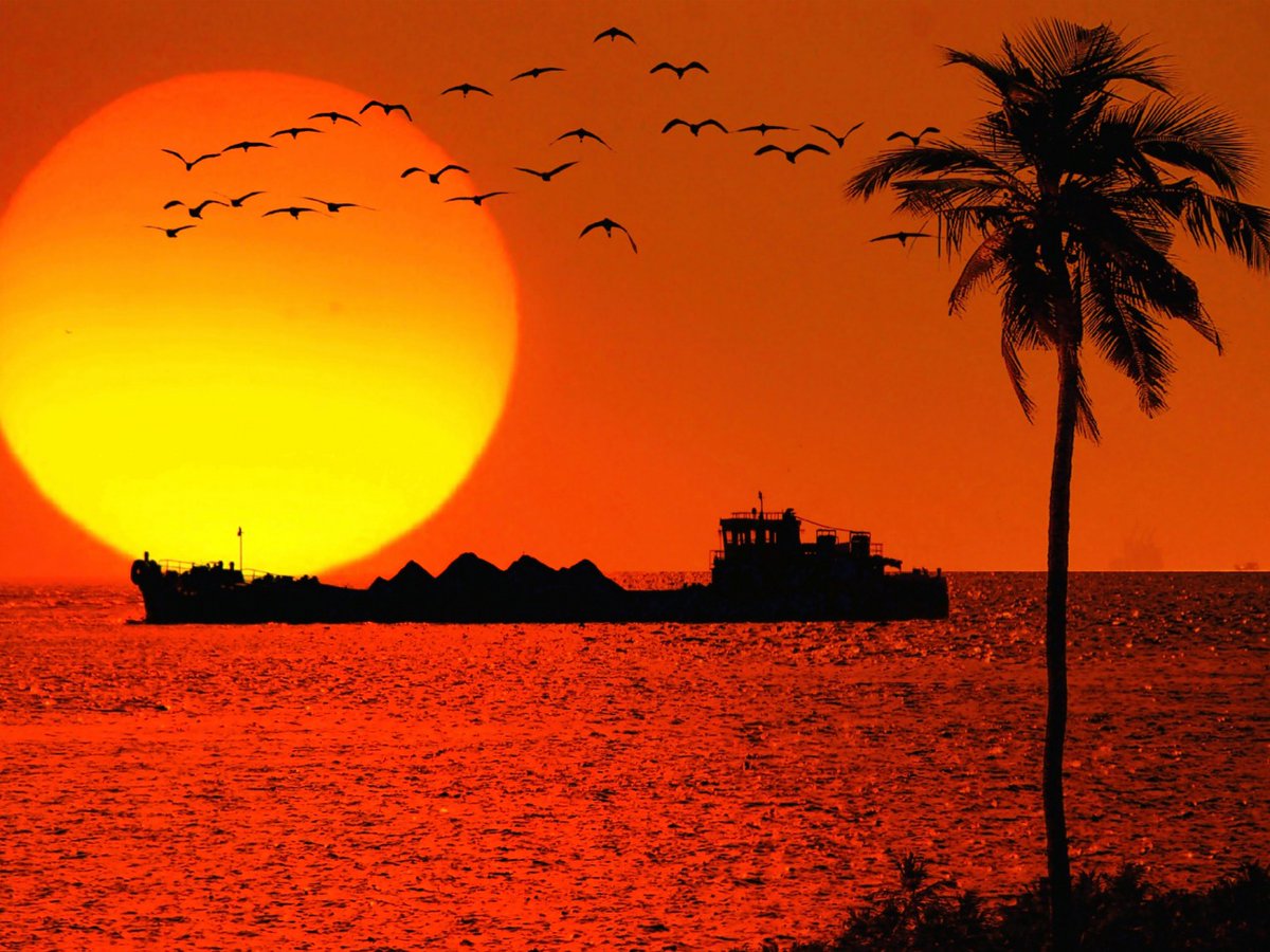 - عن عبد الله بن عمرو رضي الله عنهما أنَّ النبي صلى الله عليه وسلم قال: ((أربع من كنَّ فيه كان منافقًا خالصًا، ومن كانت فيه خصلة منهنَّ كانت فيه خصلة من النفاق حتى يدعها: إذا اؤتمن خان، وإذا حدَّث كذب، وإذا عاهد غدر، وإذا خاصم فجر  ))