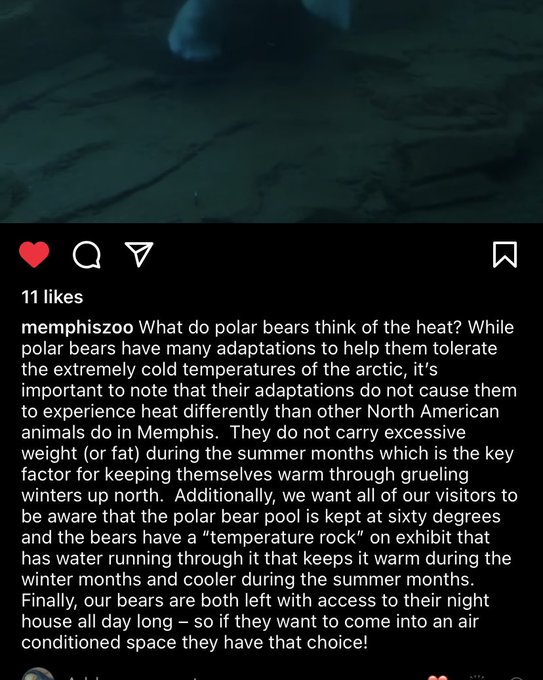 I think they saw your tweet🙃. Y'all gon LEARN to stop thinking all zoos don't know what their doing.<a href="/tag/onlyfannewbie"class="tags"><span>#onlyfannewbie</span></a><a href="/tag/referafriend"class="tags"><span>#referafriend</span></a>