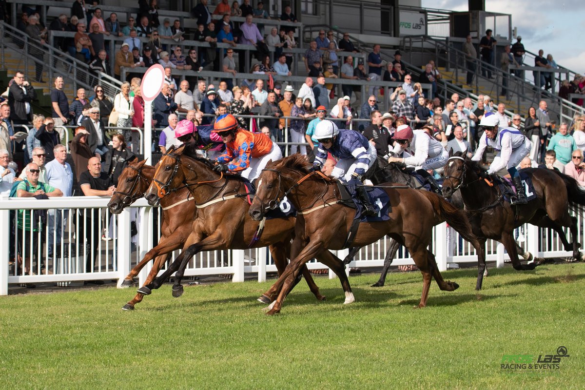 Race 1 Result - Join Our Bet Club At Vickers.bet Apprentice Handicap

🥇 Dylan's Ruby 10-1 (orange colours)
🥈 Bama Lama 17-2
🥉 Q Twenty Boy 100-30

Trainer: <a href="/AWCarrollracing/">Tony Carroll</a> 

Jockey: <a href="/mollie_phillip/">Mollie phillips</a> 

Owner: J Dewhurst