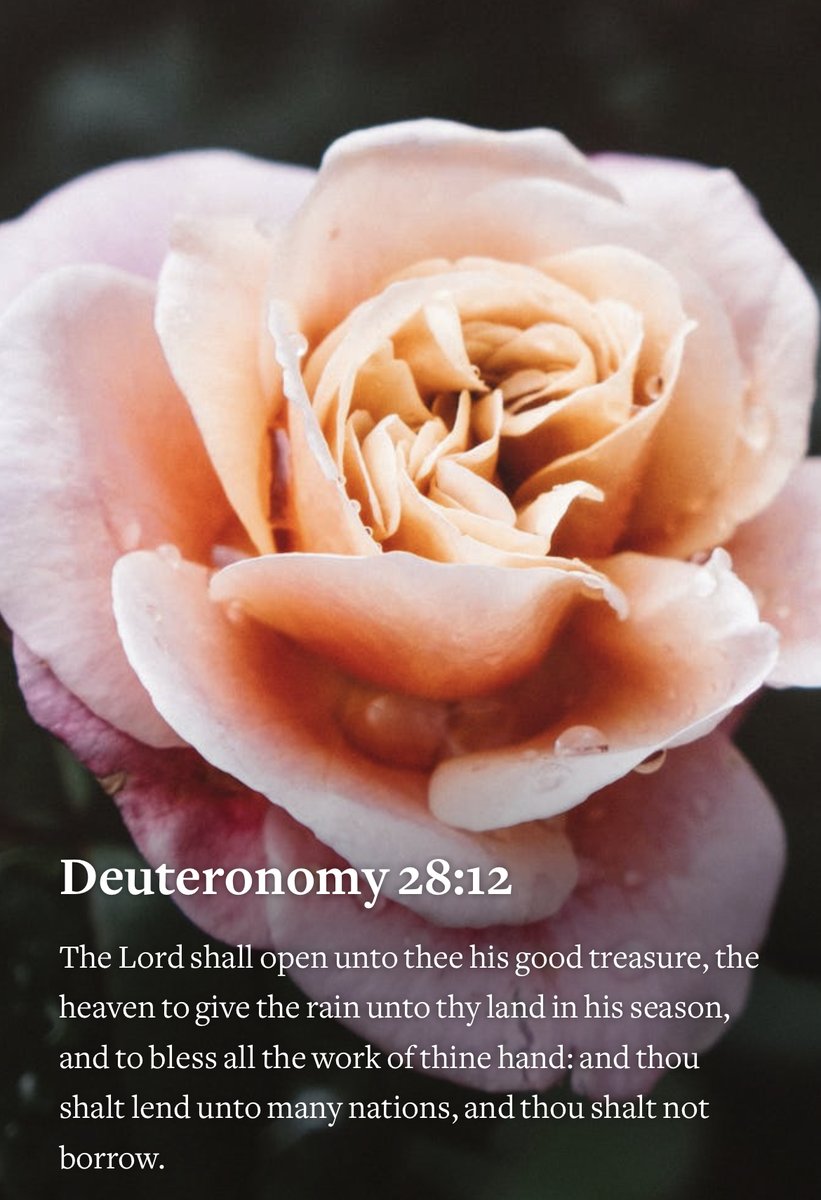 Be confident in Jesus Christ’s ability to take care of us and allow Him to work way beyond our thoughts and imaginations. HAVE A TERRIFIC TUESDAY!