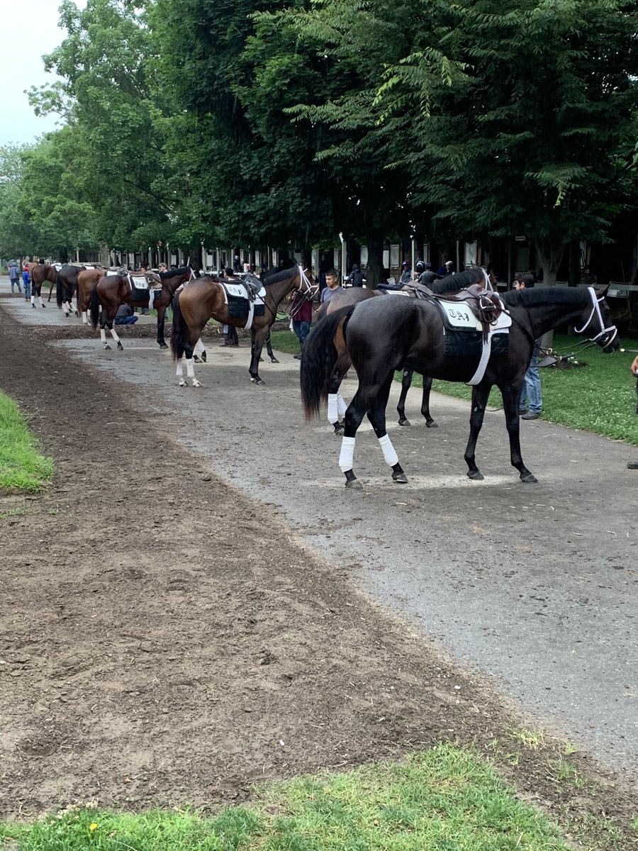 Matt Shifman tweet media