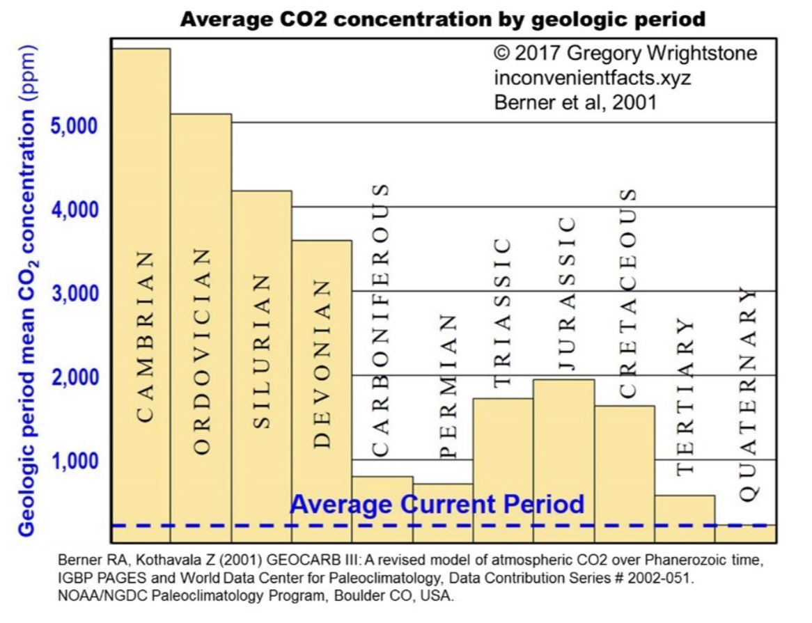 Here is a chart showing the average atmospheric CO2 levels during the ages since the Cambrian Period, when multi- cellular life-forms evolved. During the present era, CO2 has been lower than at any other time in Earth’s history.
