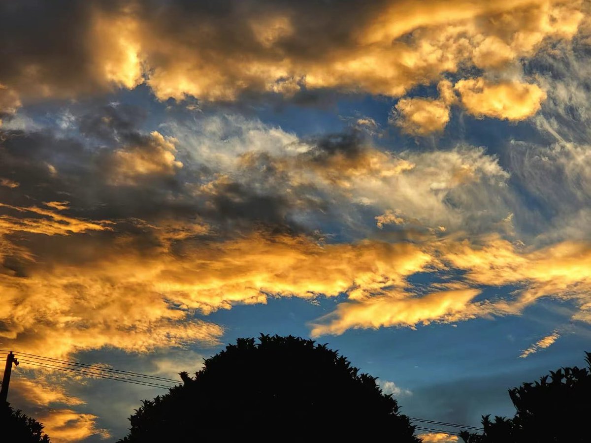 MuttSince's tweet image. Good morning, there is always something more important that gives us the courage to defeat our fears.